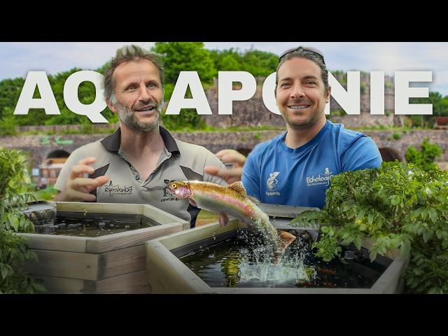 AUTONOMIE en POISSONS et LEGUMES avec L'AQUAPONIE