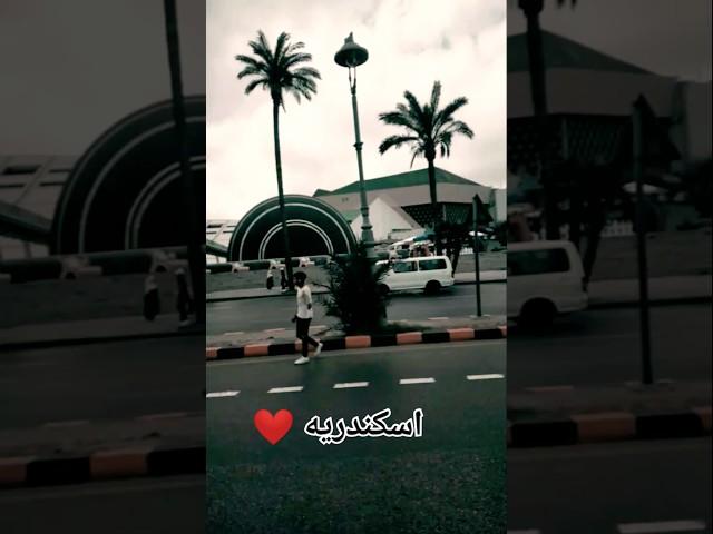 اسكندريه رايح جاي