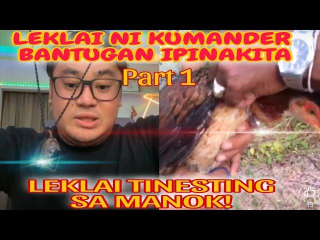 THAI LEKLAI TESTING SA MANOK : LEKLAI NI KUMANDER BANTUGAN PINAKITA : AGIMAT TESTING : NICK BANAYO