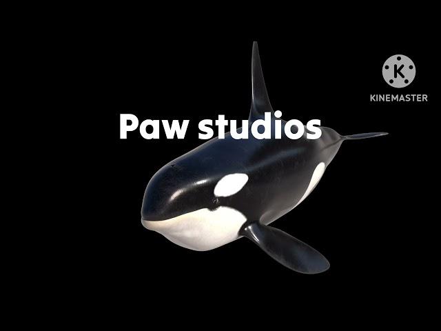 Sigma productions/paw studios/catinn YouTube channel productions (2024)