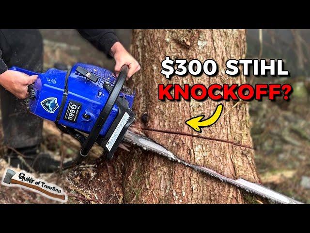 Logging 100 TREES With This $300 STIHL 660 Knockoff