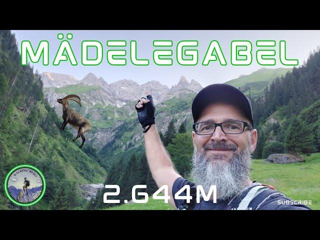 Mädelegabel 2.644m | Traumhafte Tour auf den vierthöchsten Berg der Allgäuer Alpen | Heilbronner Weg