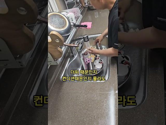 @okok9564 #퇴근후 #살림남 #일상 #설거지 #housekeeping #dishwashing