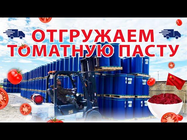 Отгрузка ТОМАТНОЙ ПАСТЫ сорта ЭКСТРА оптом со склада БСК. Томатная паста Brix 36-38% с доставкой.