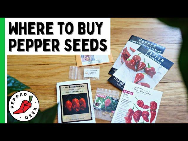 Where To Buy Pepper Seeds - Our Favorite Places - Pepper Geek