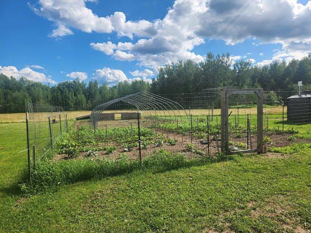 THE FARMHOUSE. Cattle Shelter. Weeding the garden. Cleaning the workshop. Rain. Fruit trees. Mowing.