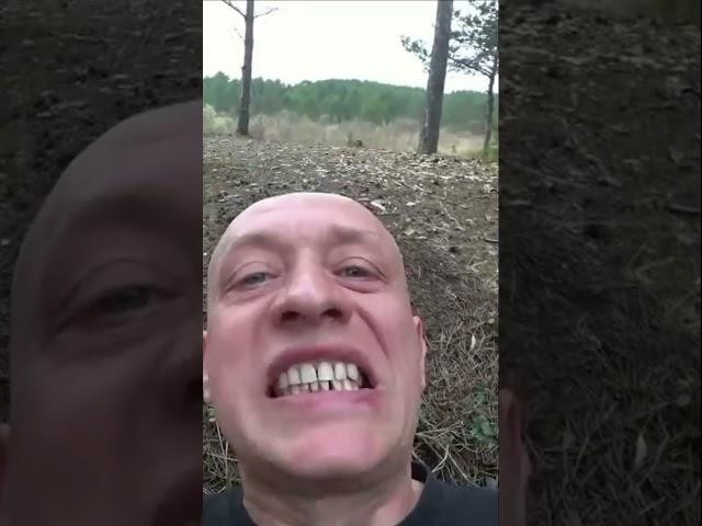 Медведь ест муравьев. Вадим Старов муравьиная кислота, цитраль. Набор энергии целительство, здоровье