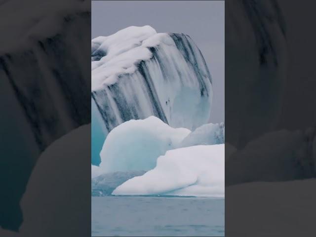 See the Iceberg: A Stunning View of Nature’s Giants