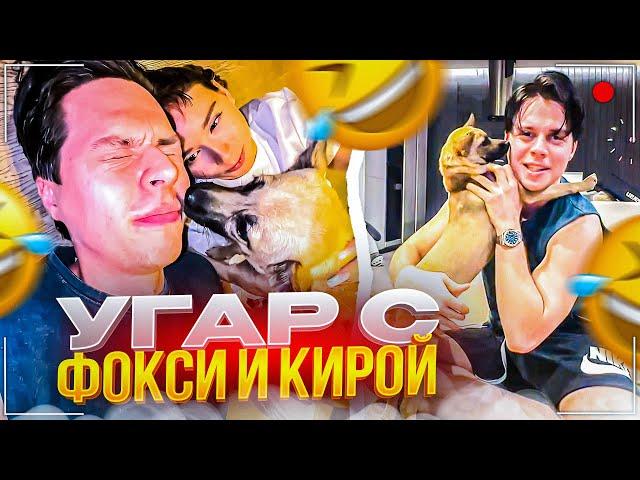 ФРАМЕ ТАМЕР СТАЛ СОБАЧНИКОМ | КУДА ПРОПАЛ ФРАМЕ ТАМЕР?