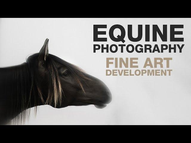 EQUINE PHOTOGRAPHY | Fine Art Development - EMILY HANCOCK | Part 2