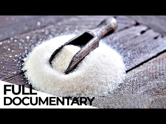 The Sugar Lobby: How The Industry Hides The Real Harm Caused By Sugar | ENDEVR Documentary