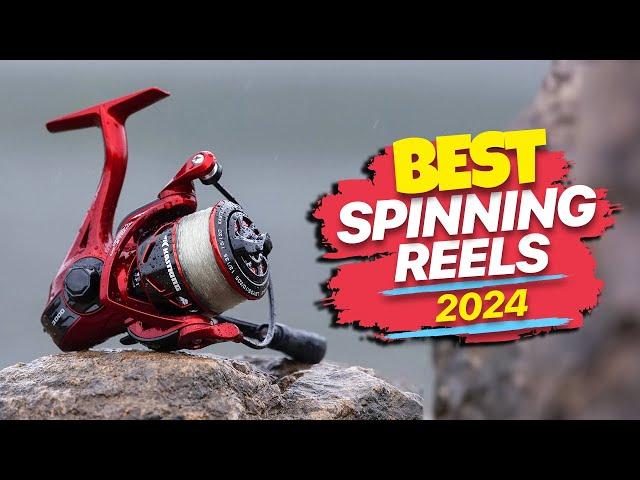 Best Spinning Reels for 2024: Spinning Elegance