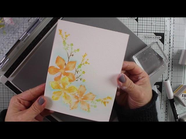 Nuvo Aqua Flow Pens No-line colouring with Bibi Cameron