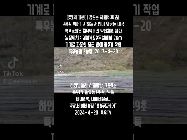 특우TV의 추억 농사이야기 [326편] #해발600고지 #당근밭에_물주기 #치유먹거리 #약선채소 #포스푸드케어 #솔송고표고버섯키우기