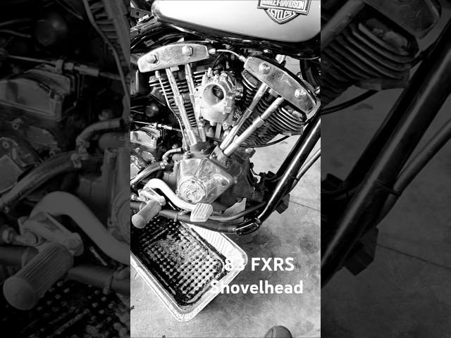 83 FXRS SHOVELHEAD #FXR #harleydavidson #oil #mechanic #motionpro #harborfreight #akron #bike