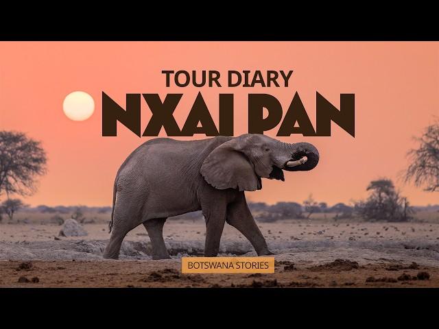 African Wildlife Safari : Nxai Pan, Botswana