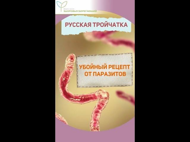 Русская тройчатка – убойный рецепт от паразитов