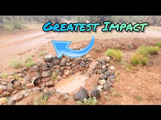 The Rainwater Harvesting Tool You Didn't Know You Have