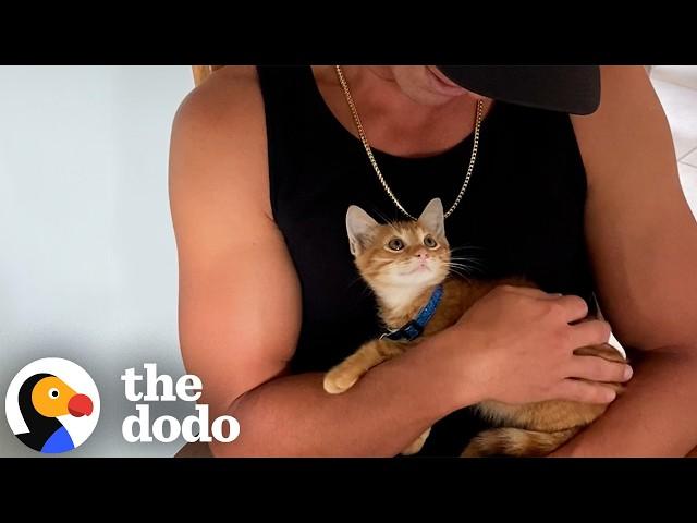 Cats Who Are Obsessed With Men | The Dodo