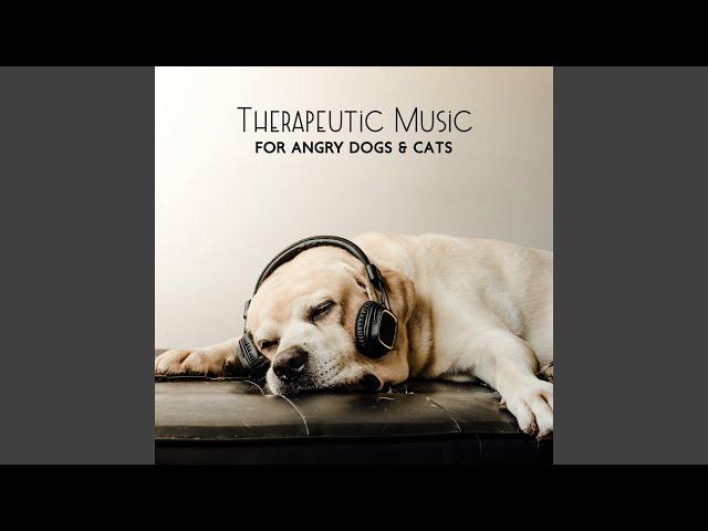 Music For Dogs