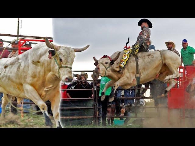 LOS JINETES DE PATA PESADA NO LLEGARON DECIA EL PUBLICO //Martinez Ranch en Byers, Colorado