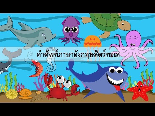 Sea Animal คำศัพท์สัตว์ทะเล