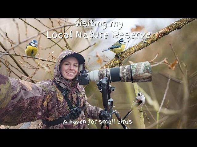 Wildlife photography at my local nature reserve