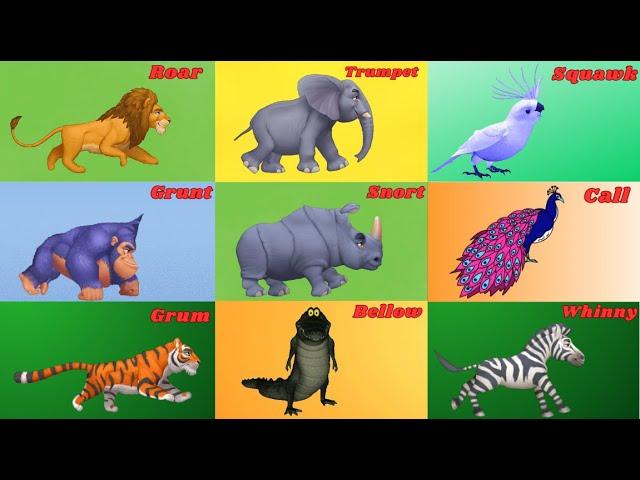 Zoo Animal Sounds Song 9TH11 | Animal Sounds Song for Kids | Kids TV