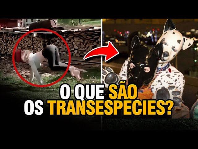 TRANSESPÉCIES Estão Se ESPALHANDO!  O Que Pode ACONTECER?