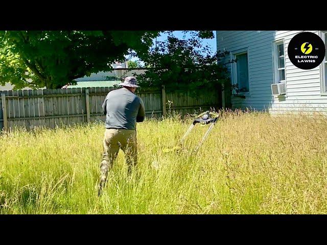 My BIGGEST OVERGROWN (Part 1) Lawn Transformation