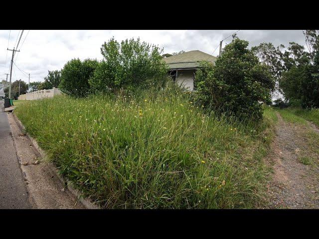 NEGLECTED HOUSE now LOOKS INCREDIBLE! - Yard clean up