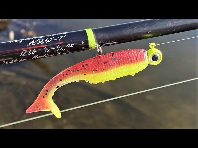 The Epic Slouch SwimBait | New Injection Mold