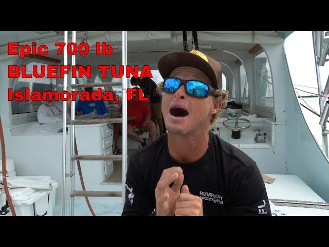 700 lb Bluefin Tuna in ISLAMORADA aboard KALEX! March 2021 / Bud n' Mary's Marina