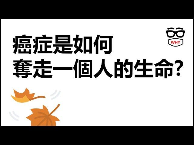 無聲的殺手：揭開癌症如何悄悄奪走一個人的生命？｜WHY WHITE 壞壞癌症系列