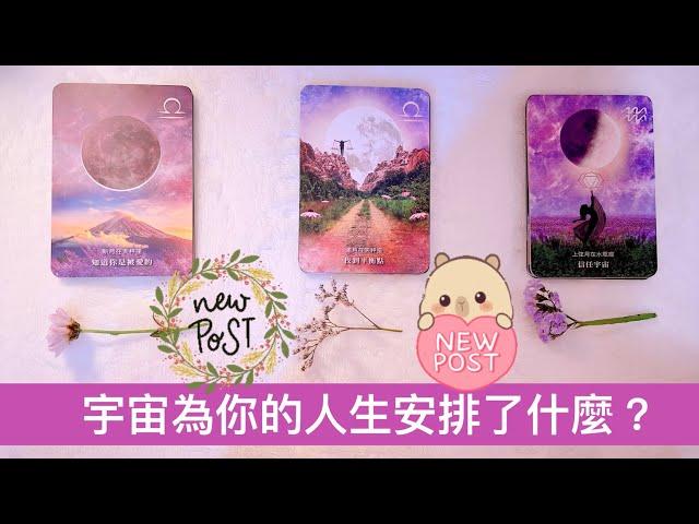 運勢塔羅占卜「上天為你安排了什麼?」️(有字卡)(三選項)(無時間限制)  Tarot Reading Pick a Card (已開放會員制度，歡迎加入會員~)