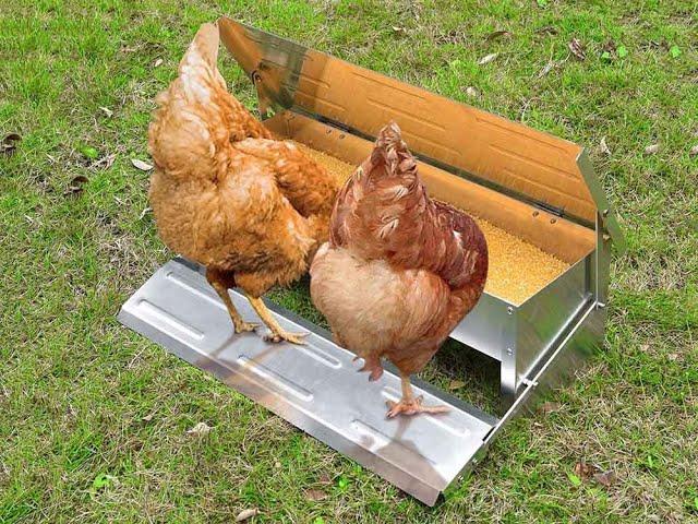 Soft Close Chicken Feeder