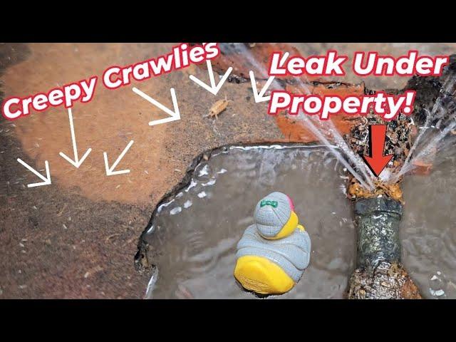 LEAK on a supply pipe feeding 8 HOUSES!!