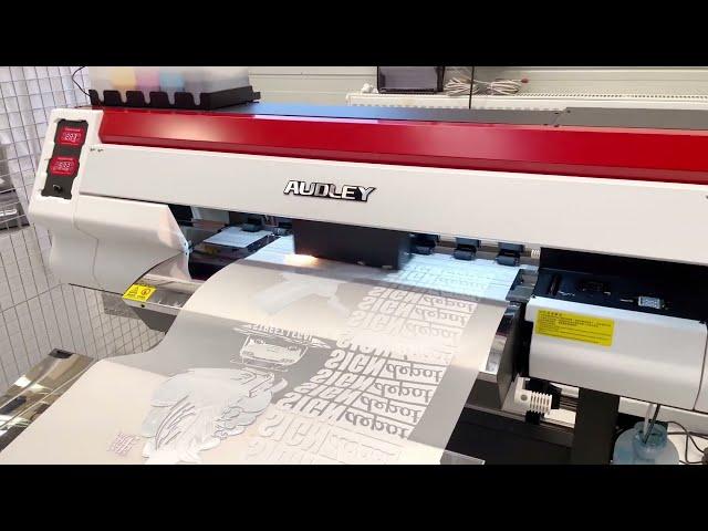 Amazing Audley DTF 2 head printer+shaker+air purifier printing solution