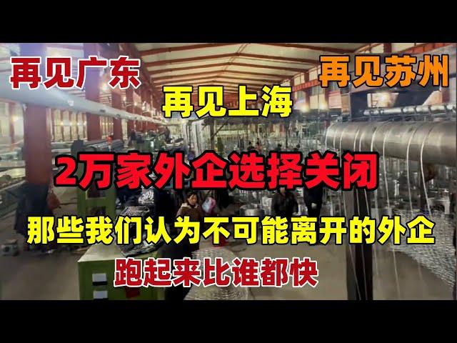 再见苏州！再见上海 ！再见广东！2万多家企业选择关闭，那些我们认为不可能离开的外企，跑起来比谁都快，有人红了眼，有人冷眼旁观，中国的土地上几乎看不到正经的外商了#苏州#外企#上海#失业#工作#中国