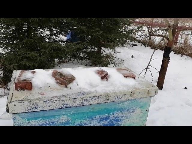 Пасека! Три ответа на три вопроса!