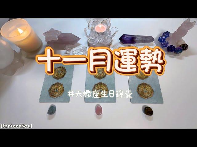 塔羅占卜| 十一月運勢+ ️天蠍座的生日錦囊(愛情/事業財富/學業/靈性等方面的運勢預測)