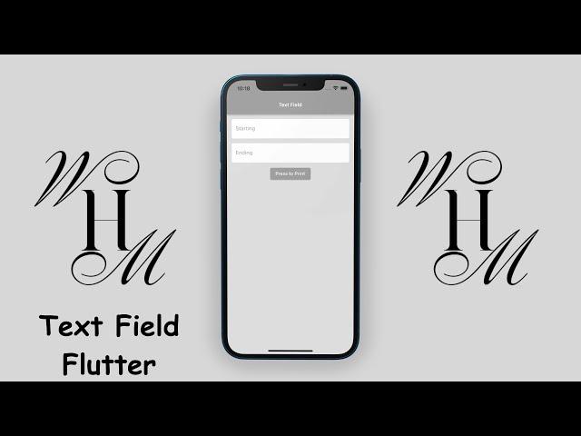 Flutter Text Field