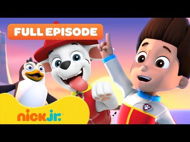 PAW Patrol Pups Save the Penguins!  FULL EPISODE | Nick Jr.