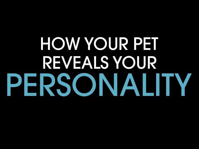 How your pet reveals your personality