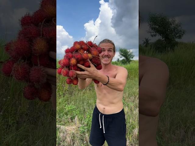 The Hairiest Fruit In The World