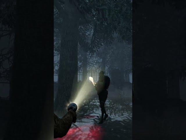 Get blinded dammit | dead by daylight