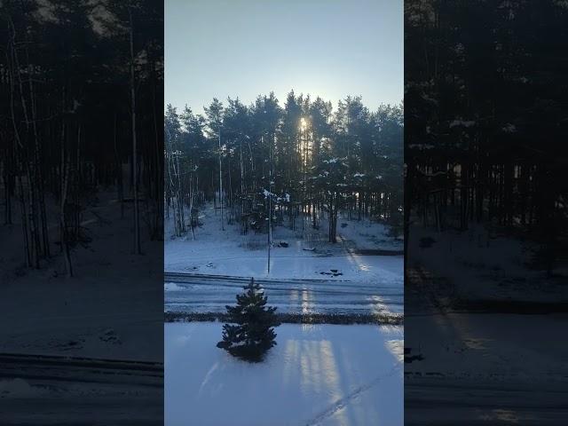 Good morning  #adventure #nature #love