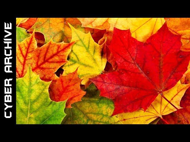 15 Interesting Facts About Autumn