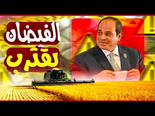 عالم مصري يحذر ! الفيضان يقترب و علينا زراعة مليون فدان أرز ! تطور خطير