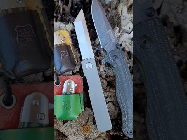 Wednesday Pocket Dump  #youtubeshorts #shorts